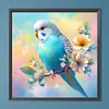 Vogel - runder Bohrer Diamant Malerei - 40 * 40cm