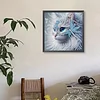 Diamond Painting-DIY Crystal Rhinestone Lovely Cat
