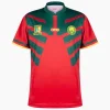 2022 FIFA World Cup Cameroon National Team Third Jersey