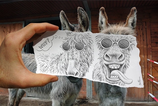 

Pencil Donkeys – Paint By Numbers - 40*50CM, 501 Original