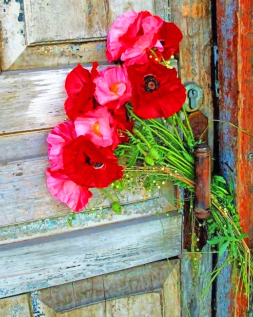 

Beautiful Old Door And Flowers – Paint By Numbers - 40*50CM, 501 Original