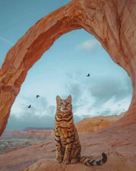 

Bengal Cat In Corona Arch Utah – Paint By Numbers - 40*50CM, 501 Original