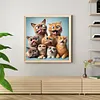 Funny Cat-Full Round Diamond Painting 30*30CM