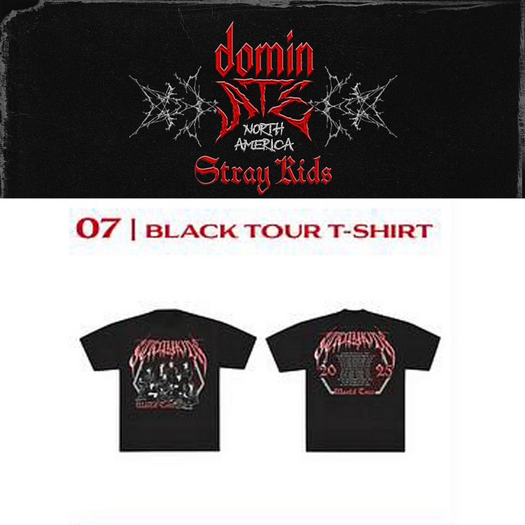 2025 Stray Kids dominATE NORTH AMERICA Black Tour T-shirt