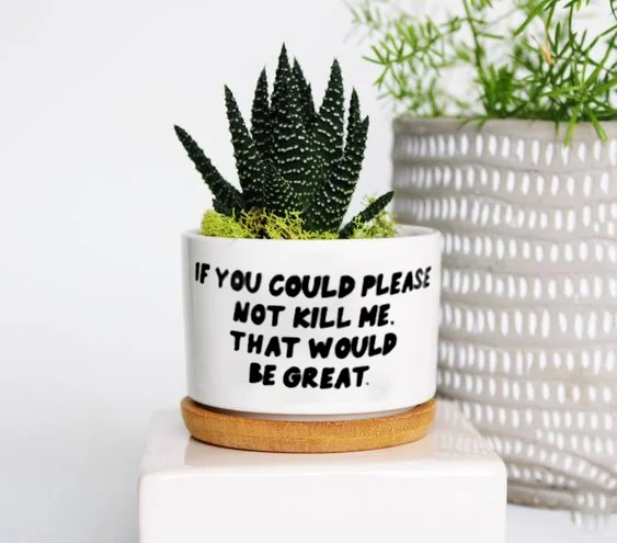 🔥New Year Promotion 50% Off-🌱Funny Plant Pot