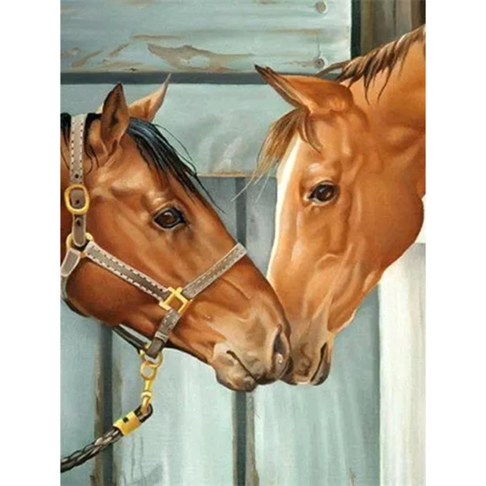 

40x50cm - Paint By Numbers Horses Gift, 501 Original