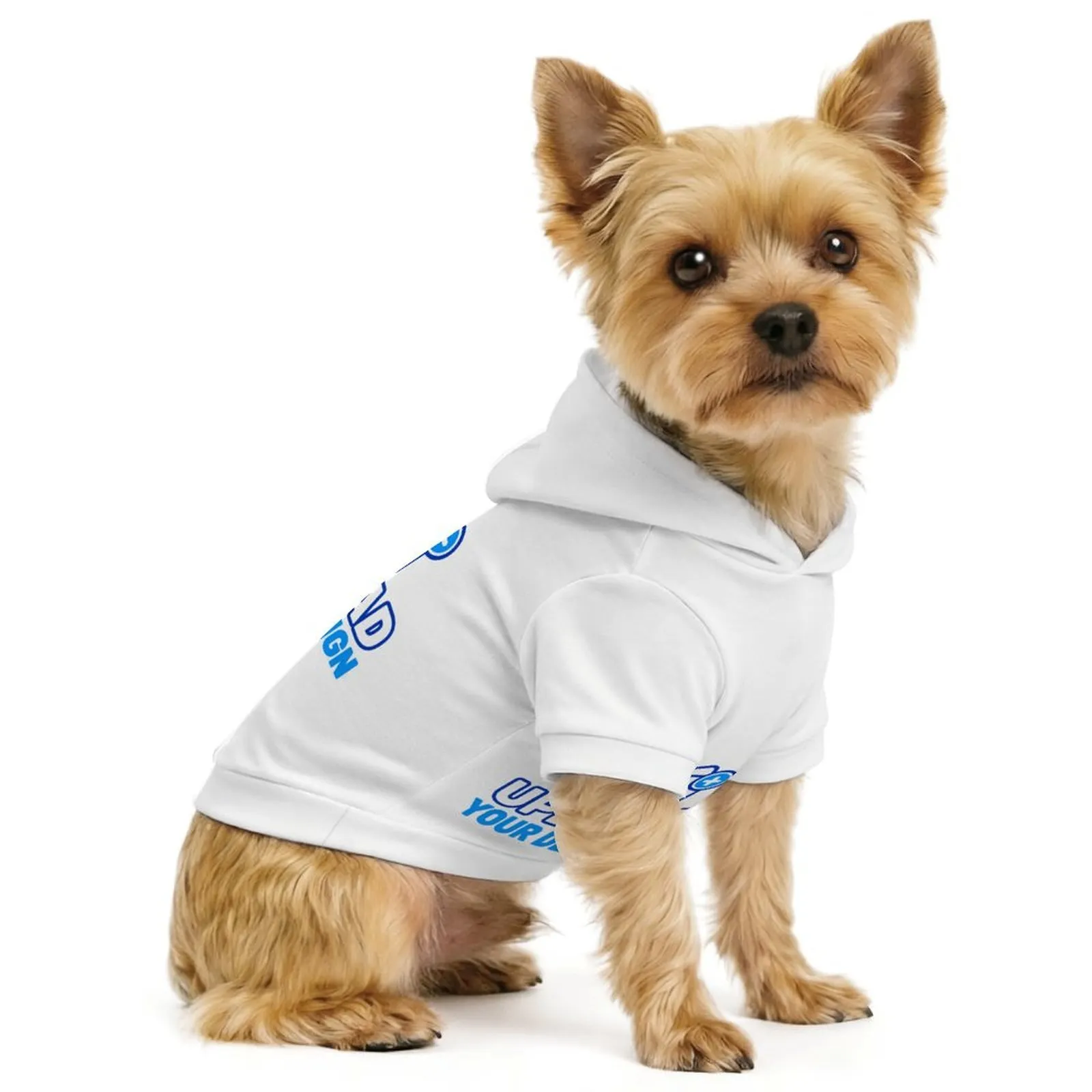 custom small pet hoodie, size reference