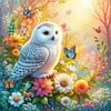 Framed Diamond Painting - Full Round Drill - Owl (25x25cm)