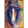 Color horse | Full Round Diamond Painting Kits
