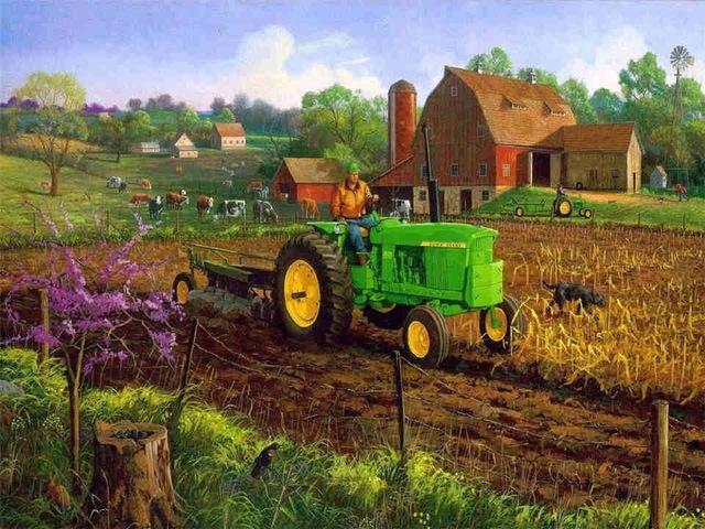 

Farm Scenes – Paint By Numbers - 40*50CM, 501 Original