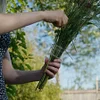 Floral Arranging Tool