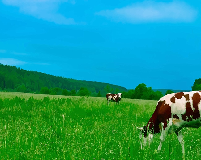 

Cow In The Farm – Paint By Numbers - 40*50CM, 501 Original