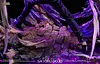 Satoru Gojo with LED - Jujutsu Kaisen Resin Statue - QiYuan Collectibles Studio