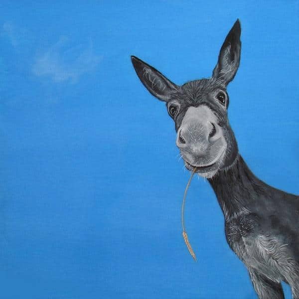 

Donkey Portrait – Paint By Numbers - 40*50CM, 501 Original