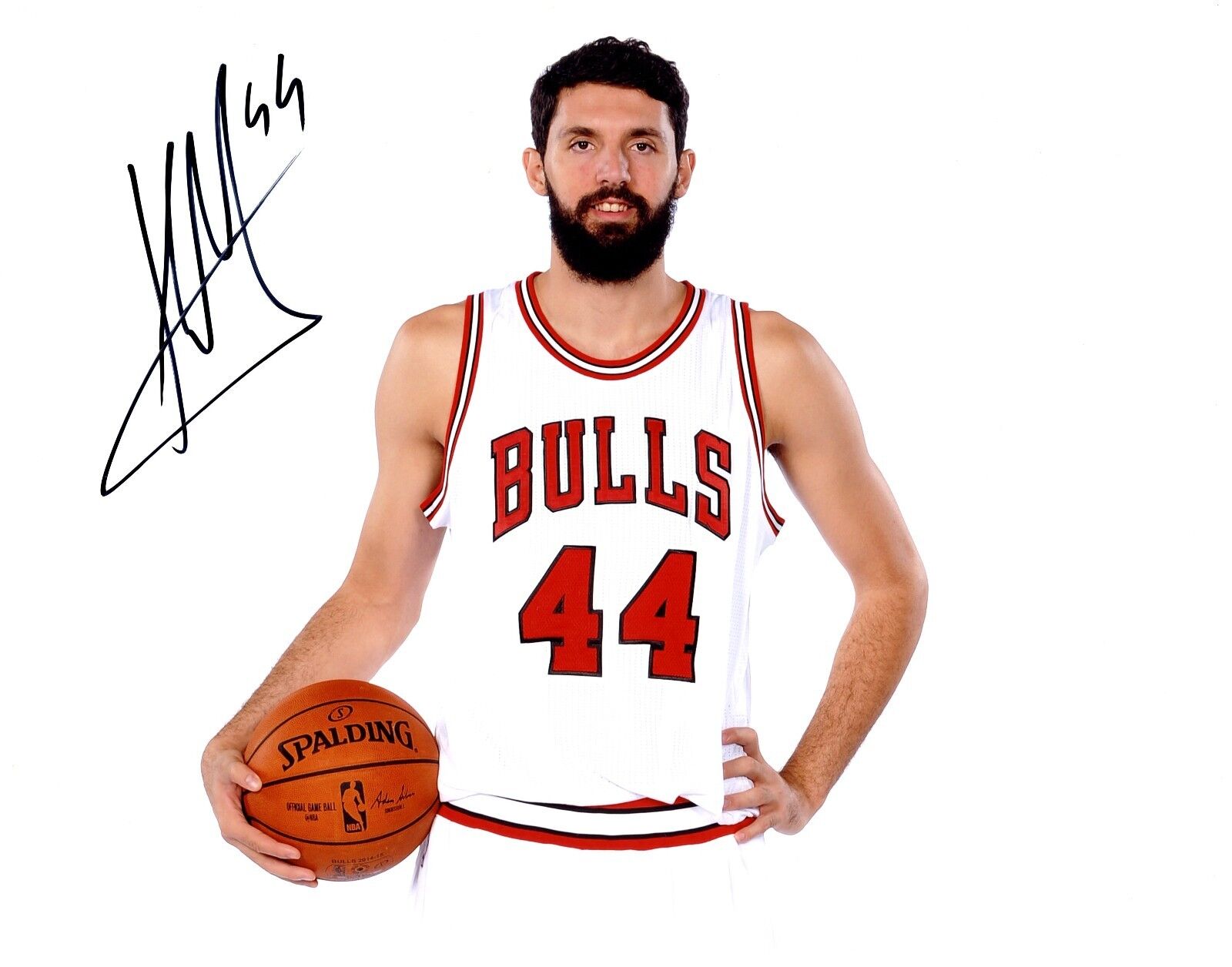 Nikola Mirotic Signed 11x14 Photo Poster painting Will Pass PSA COA Autograph Auto Bulls RC RARE