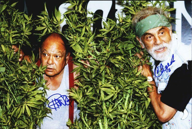 Cheech & Chong authentic signed celebrity 10x15 Photo Poster painting W/Cert Autographed Y7