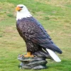 （BUY 2 FREE SHIPPING）Fiberglass Eagle Sculpture Eagle Simulation Ornaments Home Courtyard Roof Decoration