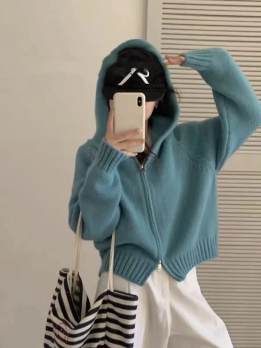 Churchf Churchf Style Multi-Color Hooded Double Zipper Knit Cardigan Women's New Short Hair Sweater Hoodie Autumn And Winter Small Coat