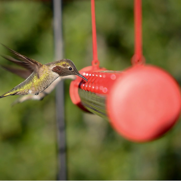 Original Bob’s Best Hummingbird Feeder