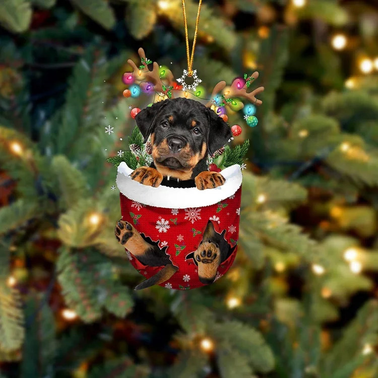 Rottweiler In Snow Pocket Christmas Ornament trabladzer
