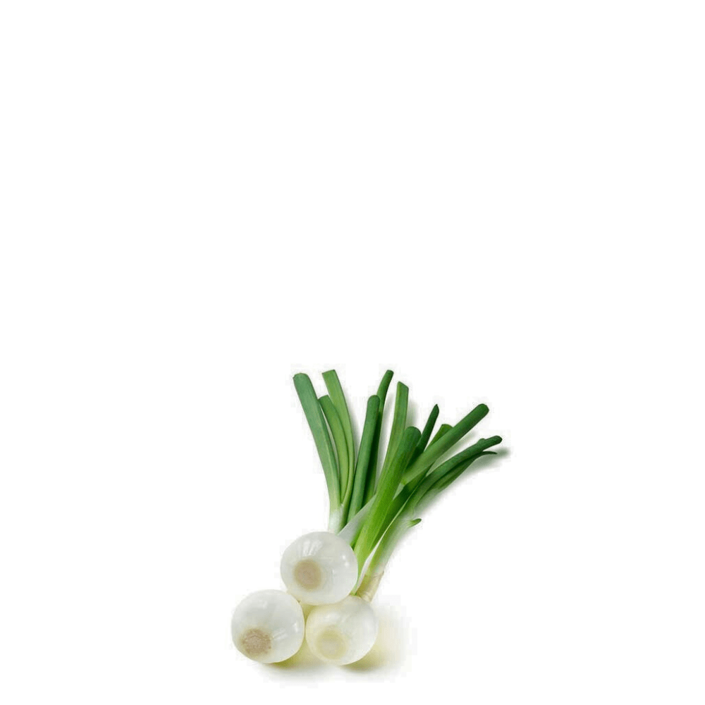Barletta Green Onion Seeds &ndash; Heirloom, Fast-Growing for Pakistan Gardens