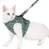 Gilet con imbracatura e guinzaglio per gatto, adatto per passeggiate all'aperto