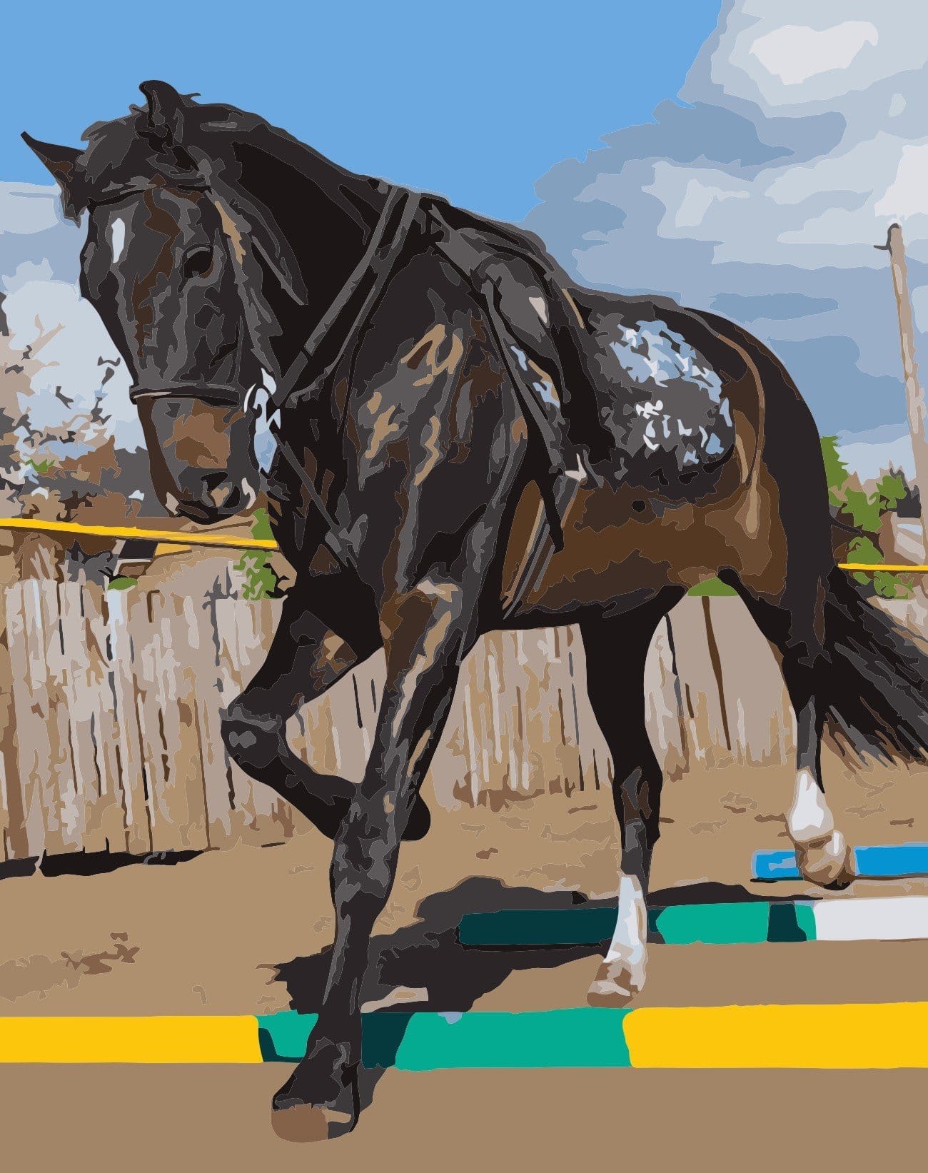 

Black Stallion Horse – Paint By Numbers - 40*50CM, 501 Original