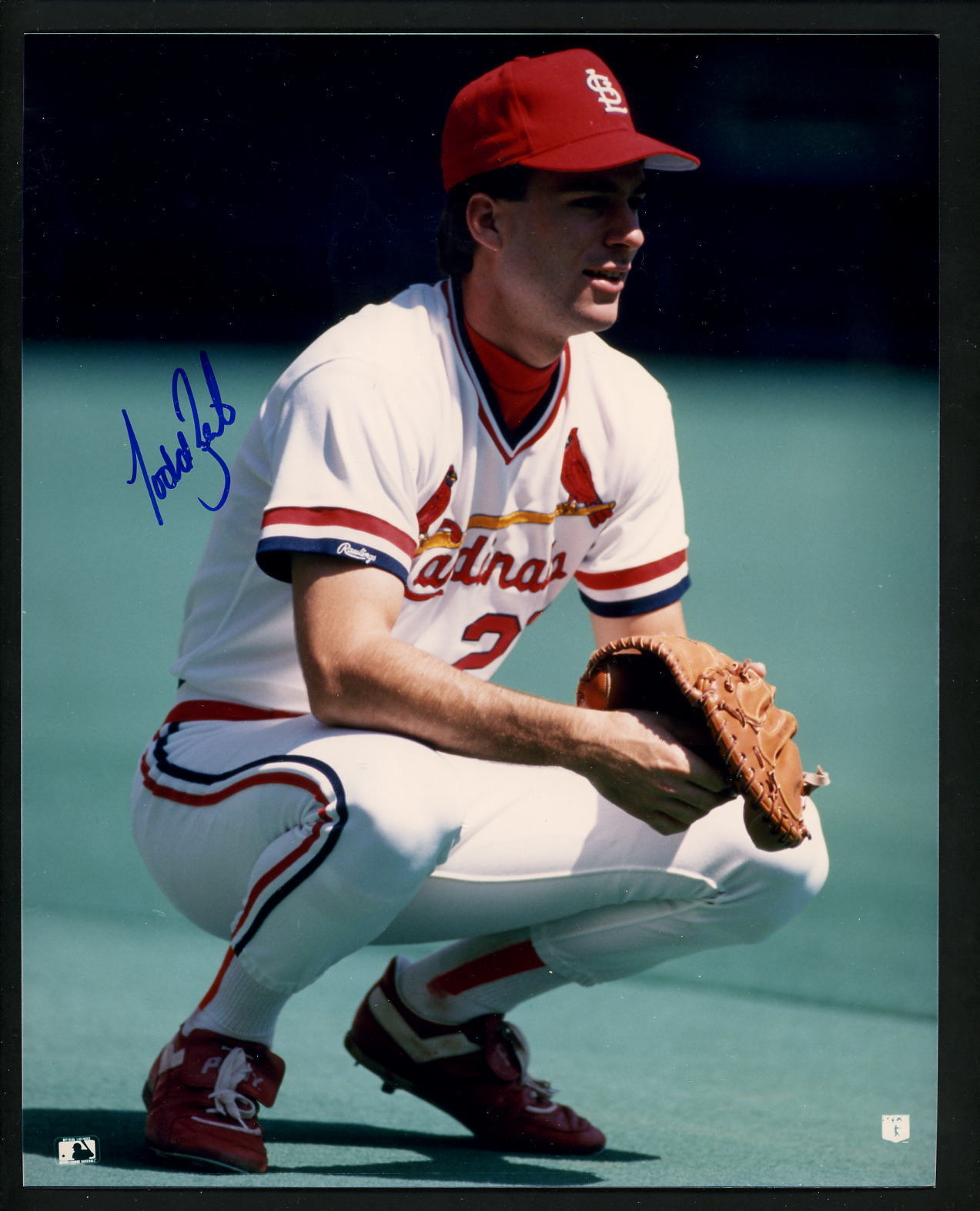 Todd Zeile Signed Autographed 8 x 10 Photo Poster painting St. Louis Cardinals catching pose