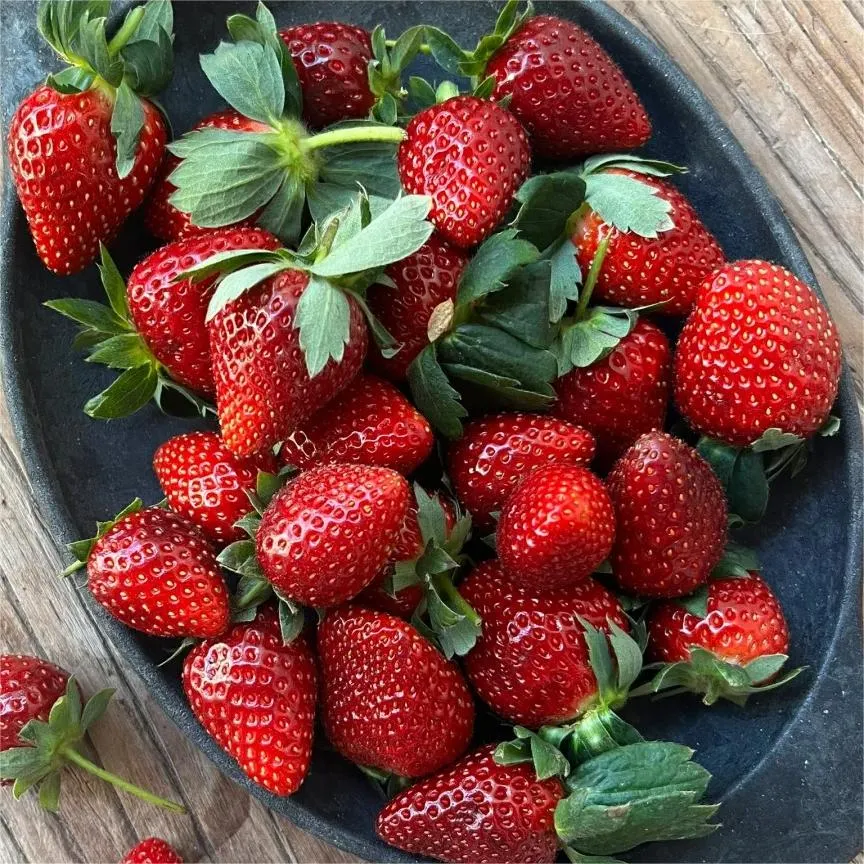 Black Pearl Strawberry Seeds
