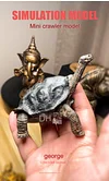 Tortoise Tortoise Model Resin Yada Angoloka Radiated Tortoise Ornaments Landscaping