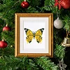12pcs Butterfly-1 5D DIY Square Drill Diamond Painting Kits for Adults Beginners Home Decor Diamonds Paintings Gem Art 5.91x7.09in