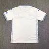 2024/2025 Hoffenheim Away Football Jersey 1:1 Thai Quality
