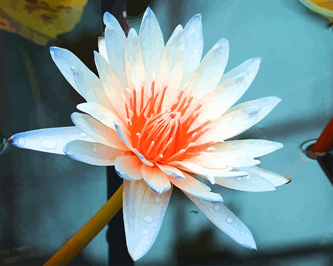 

Aquatic Plant – Paint By Numbers - 40*50CM, 501 Original