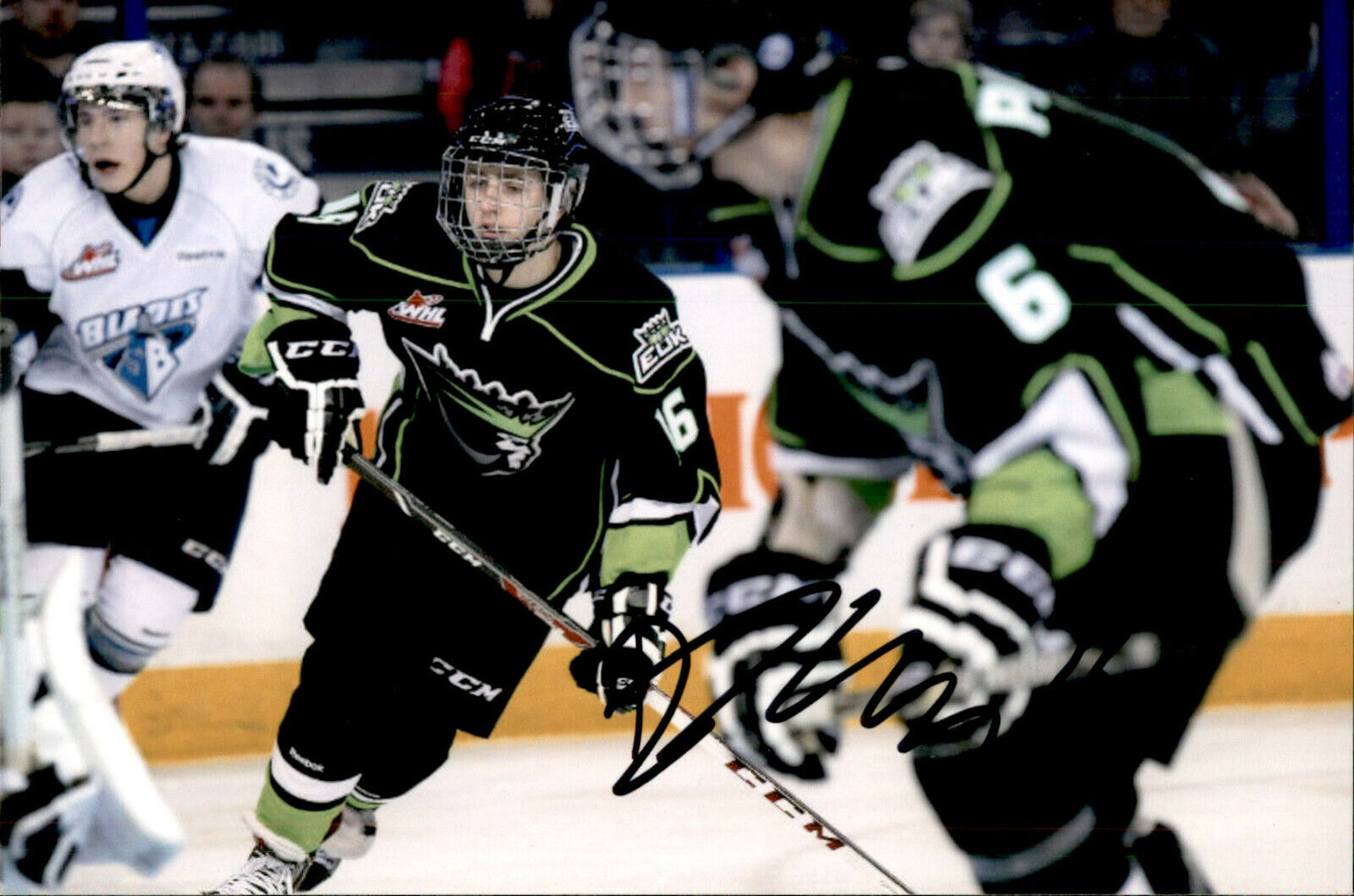 Davis Koch SIGNED 4x6 Photo Poster painting EDMONONTON OIL KINGS #3