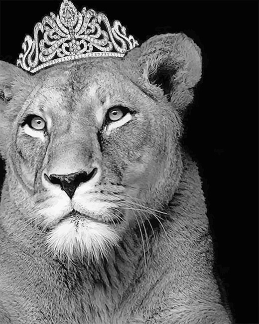 

Queen Lioness – Paint By Numbers - 40*50CM, 501 Original