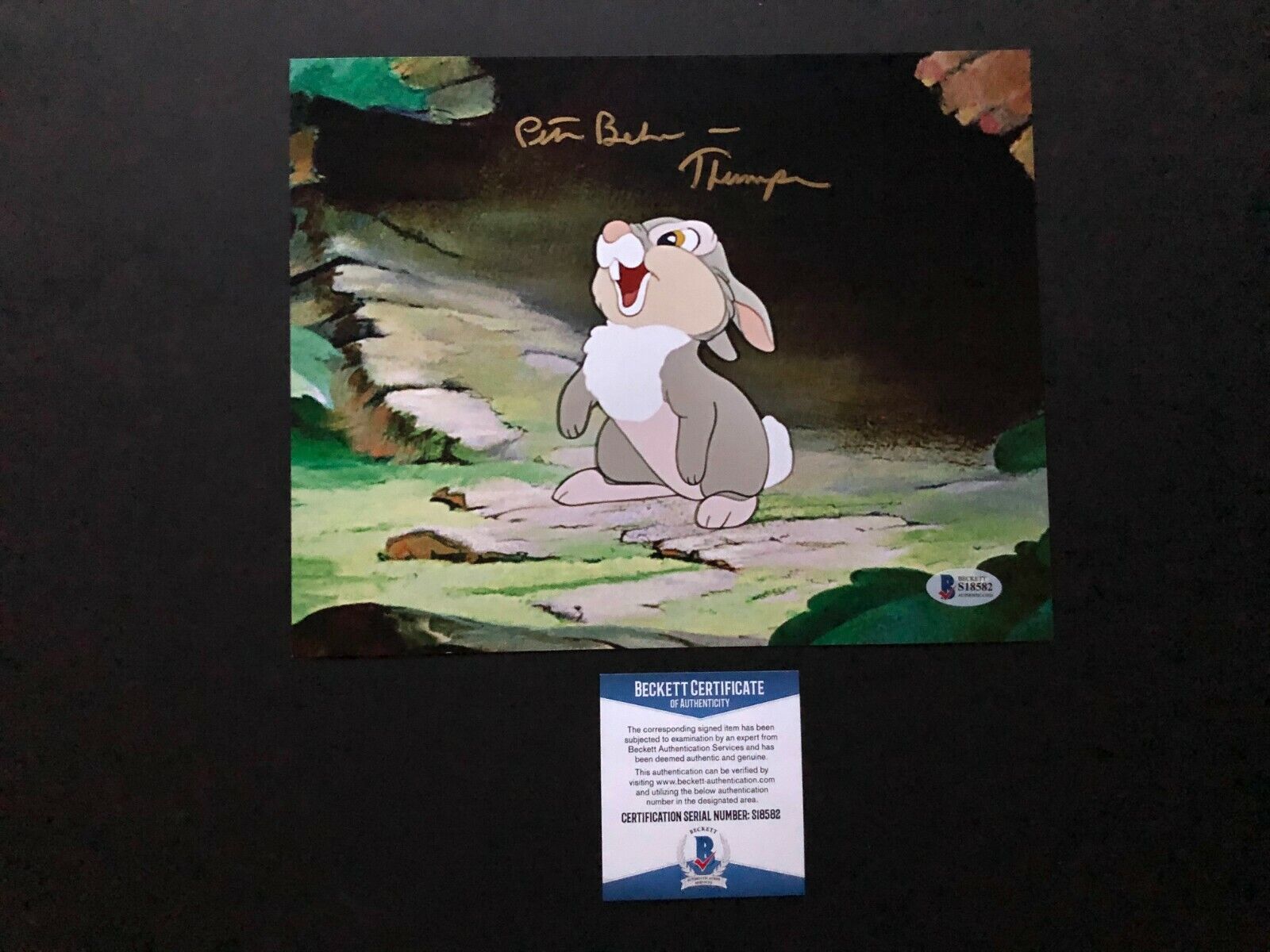 Peter Behn Rare! signed autographed Thumper in Bambi 8x10 Photo Poster painting Beckett BAS coa