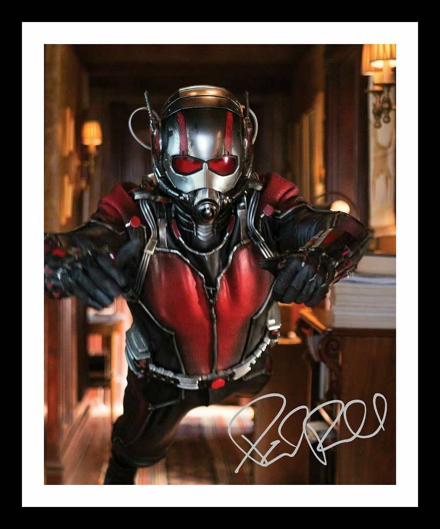 Paul Rudd - Ant-Man Autograph Signed & Framed Photo Poster painting