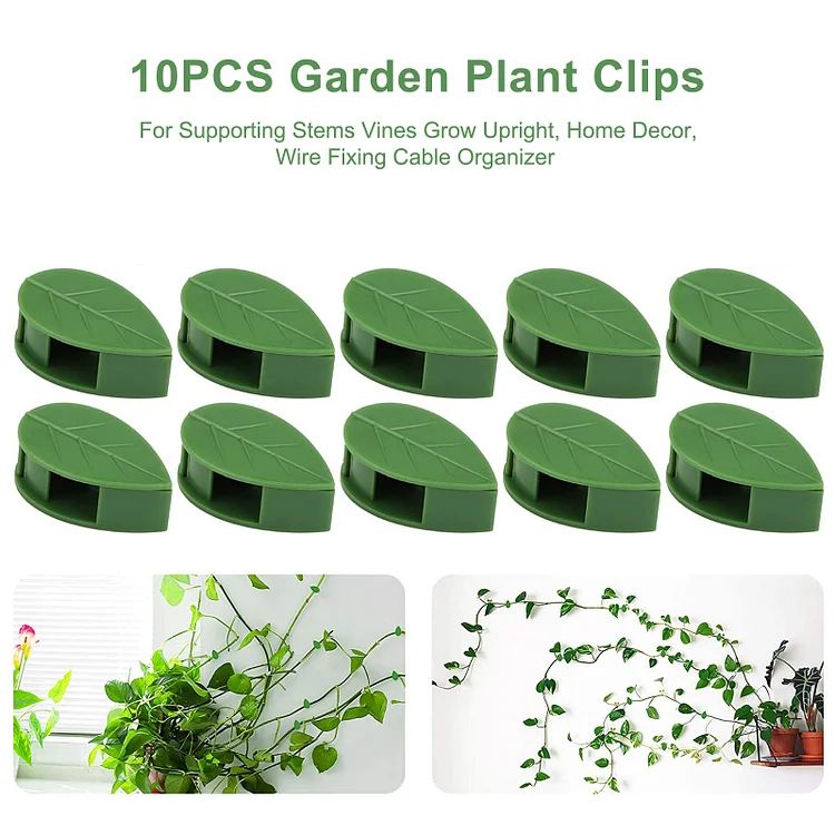 Plant Fixture Clip Fixted Buckle Hook