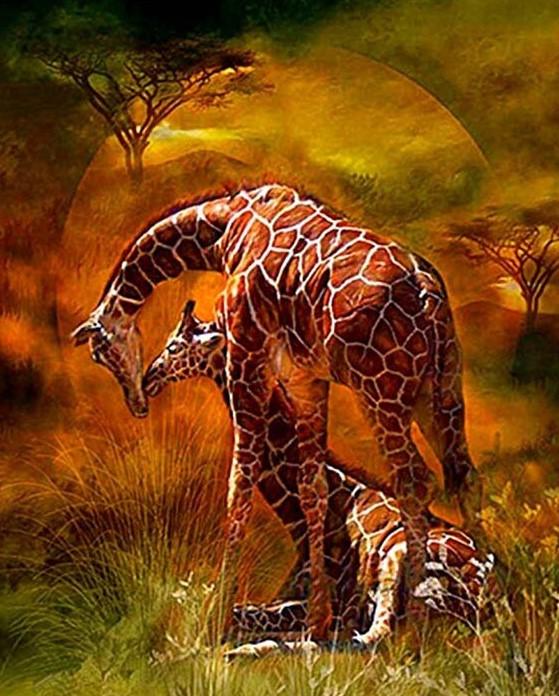 

Giraffe Couple – Paint By Numbers - 40*50CM, 501 Original