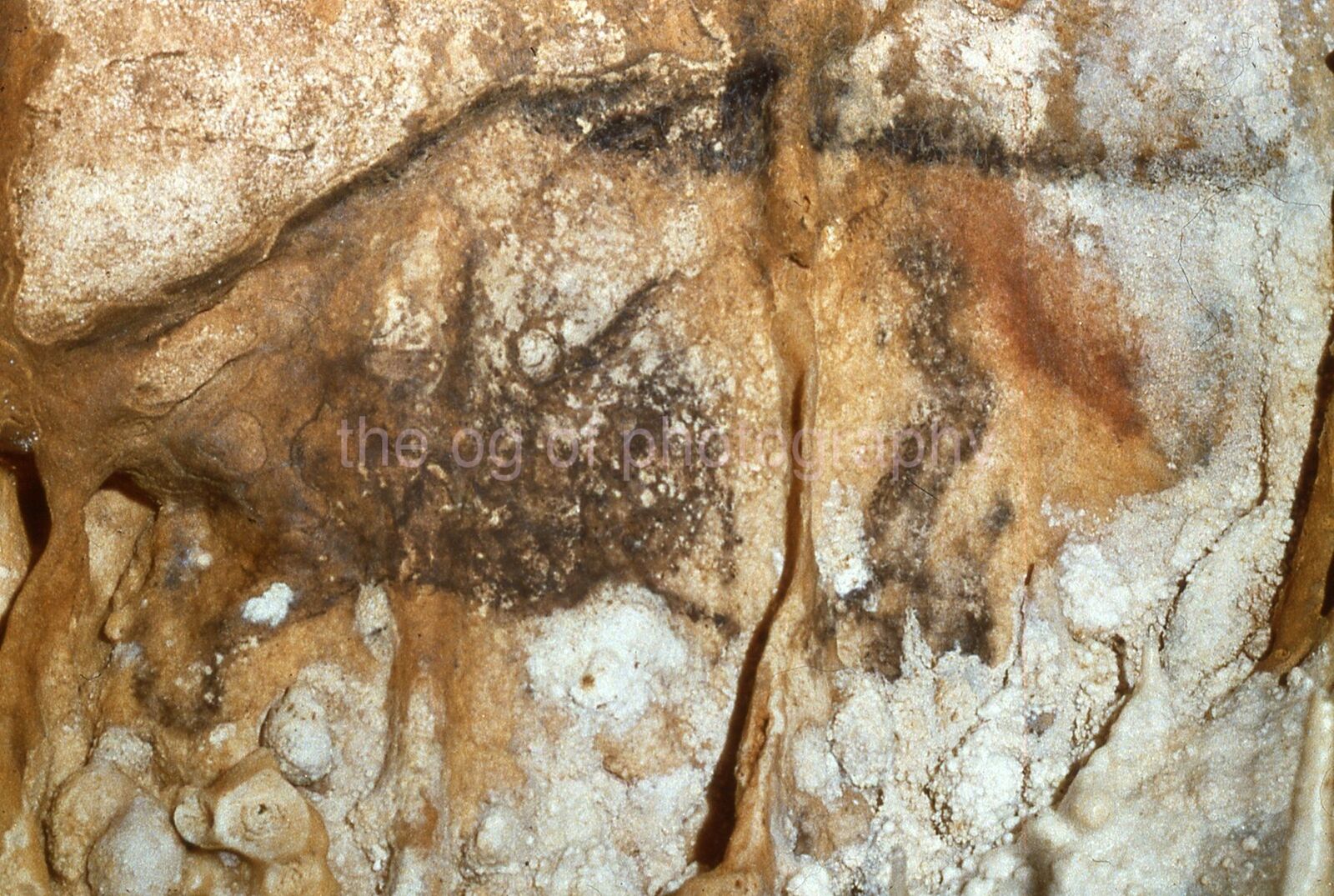 Prehistoric ROCK Art FOUND SLIDE Dordogne FRANCE Photo Poster painting 011 T 2 P