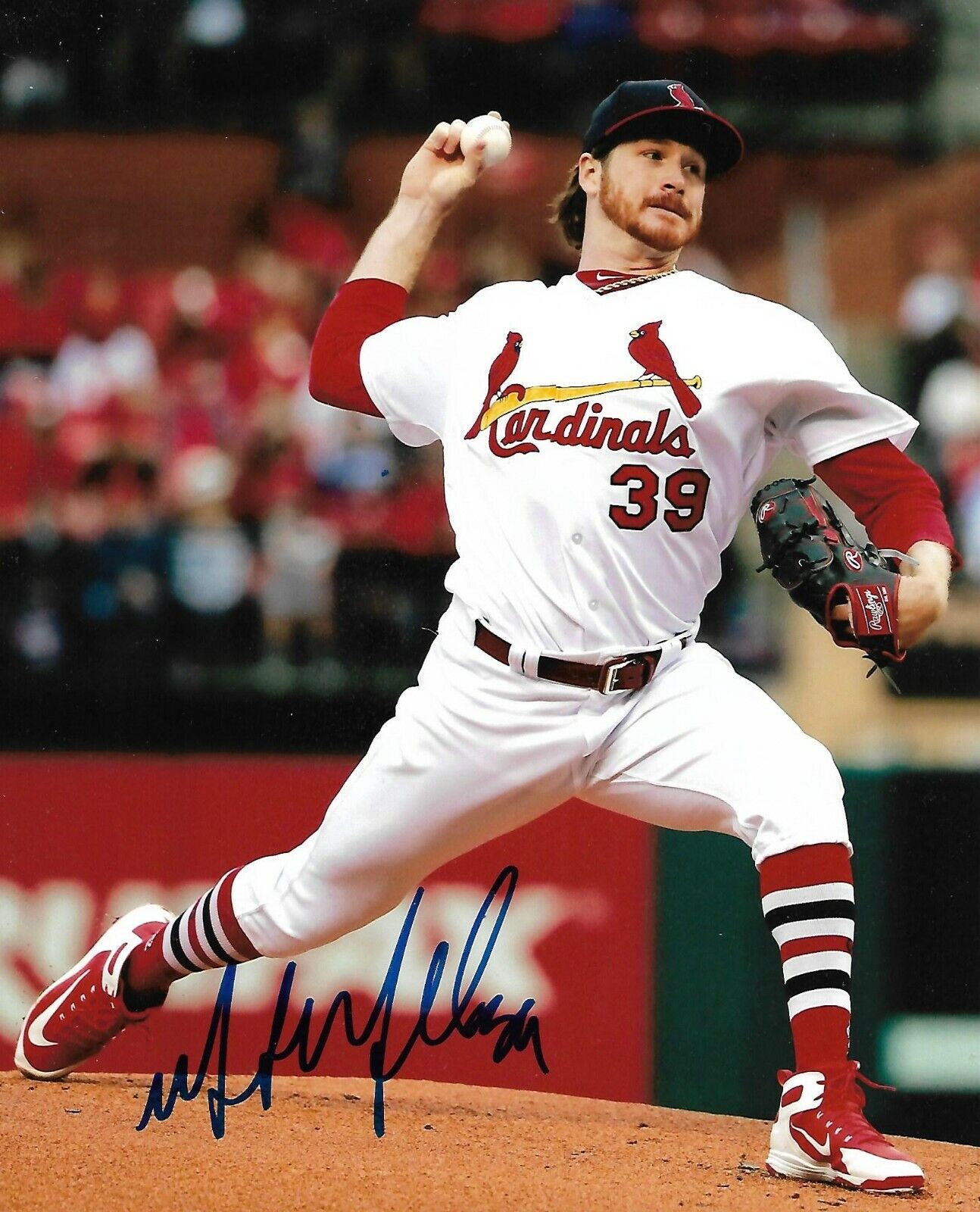 MILES MIKOLAS signed autographed ST. LOUIS CARDINALS 8x10 Photo Poster painting ALL STAR w/ COA