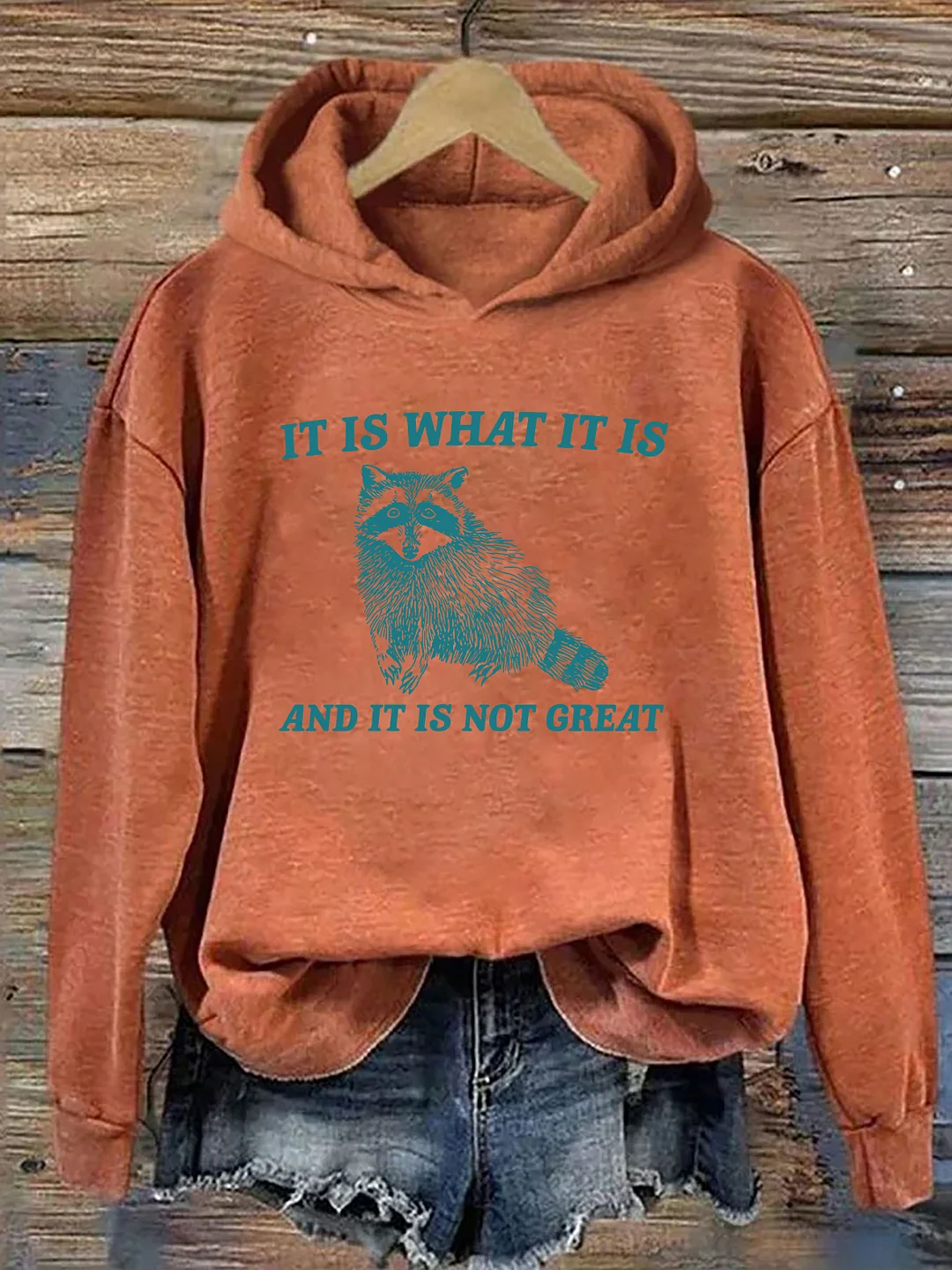 It Is What It Is And It Is Not Great Hoodie