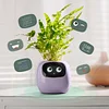 LVY Expression Control Intelligent Small Flower Pot Desktop Planter APP Monitoring Sensor Expression Demand Interactive LCD Screen