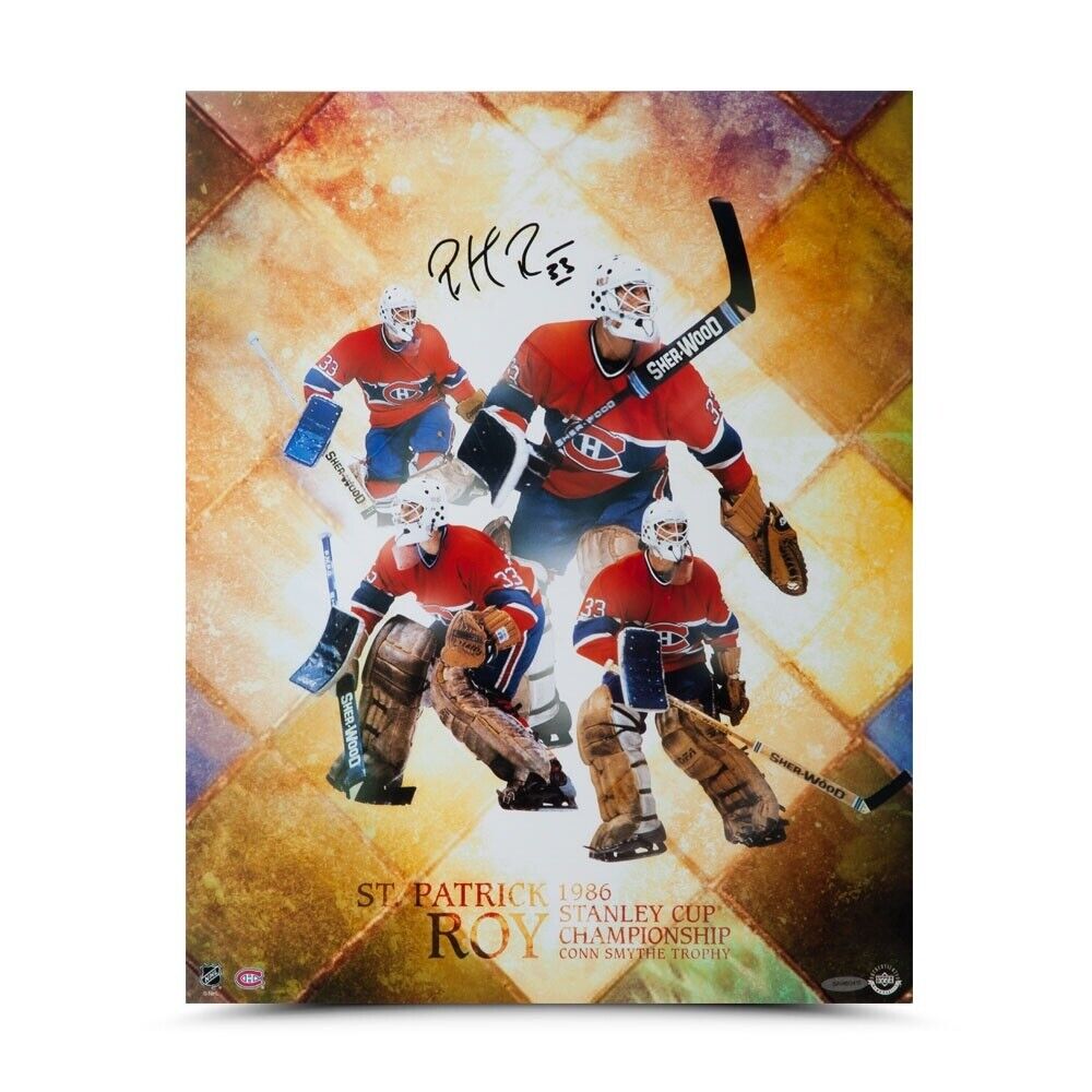 Patrick Roy Signed Autographed 16X20 Photo Poster painting St. Patrick