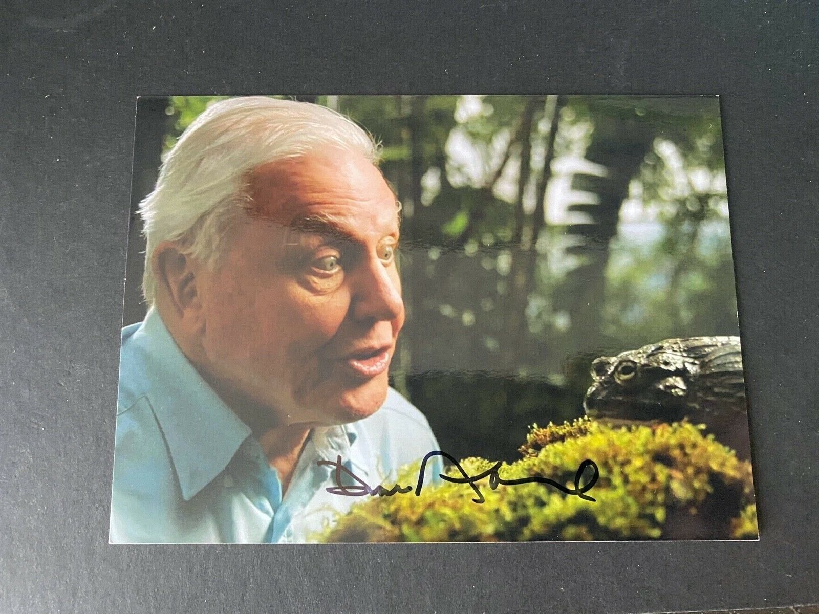 DAVID ATTENBOROUGH - NATURAL HISTORIAN - BRILLIANT SIGNED COLOUR Photo Poster painting