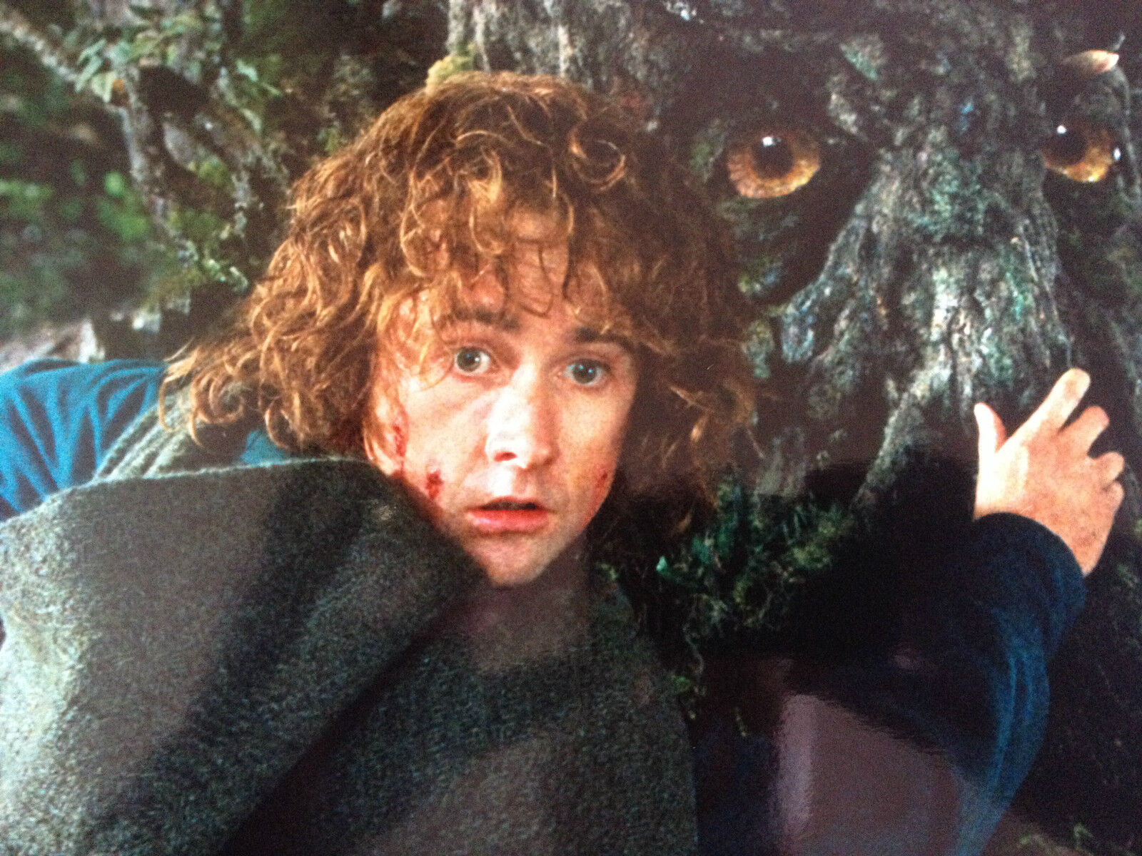 BILLY BOYD - LORD OF THE RINGS ACTOR - STUNNING COLOUR Photo Poster paintingGRAPH