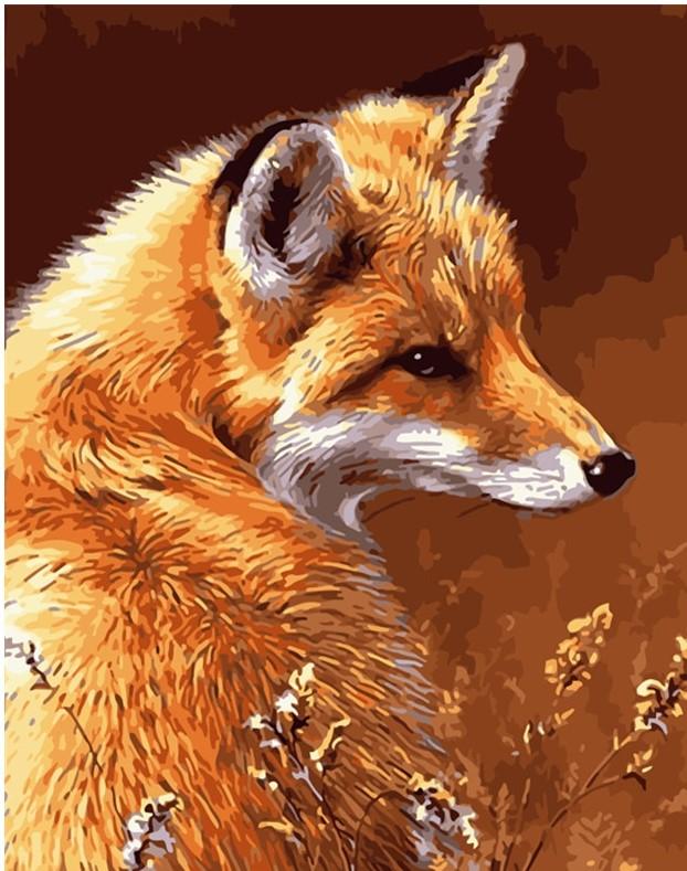 

Wild Fox Paint By Numbers - 40*50CM, 501 Original