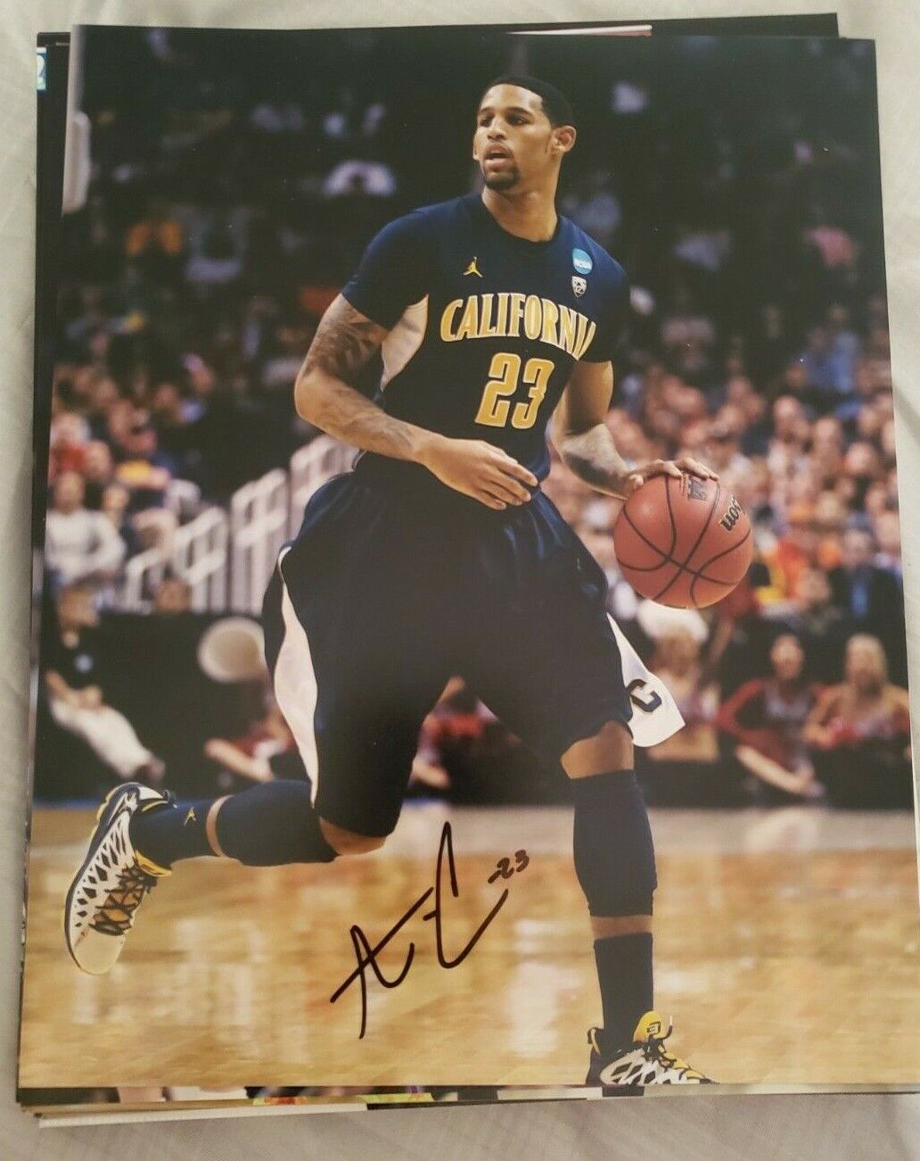 ALLEN CRABBE CALIFORNIA GOLDEN BEARS SIGNED AUTOGRAPHED 8X10 Photo Poster painting W/COA