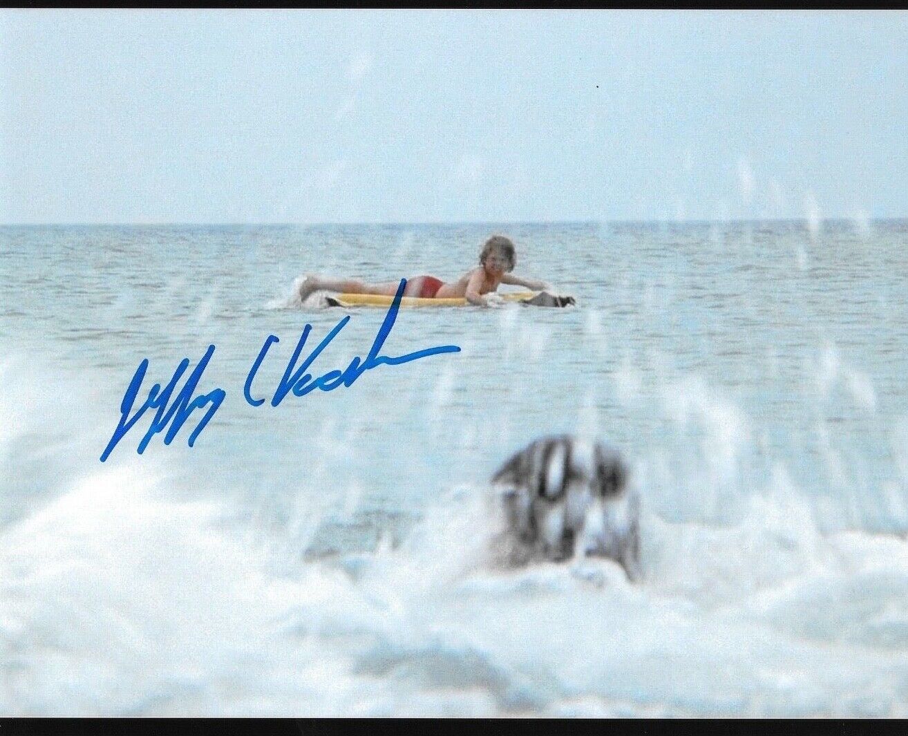 * JEFFREY VOORHEES * signed 8x10 Photo Poster painting * JAWS * PROOF * COA * 7