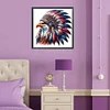 5D DIY Full Square Drill Diamond Painting Indian Eagle Kit Home Decor 35x35cm